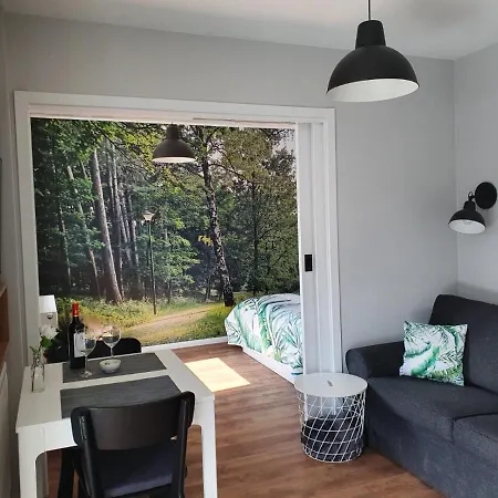 公寓 Green Apartment Miedzywodzie